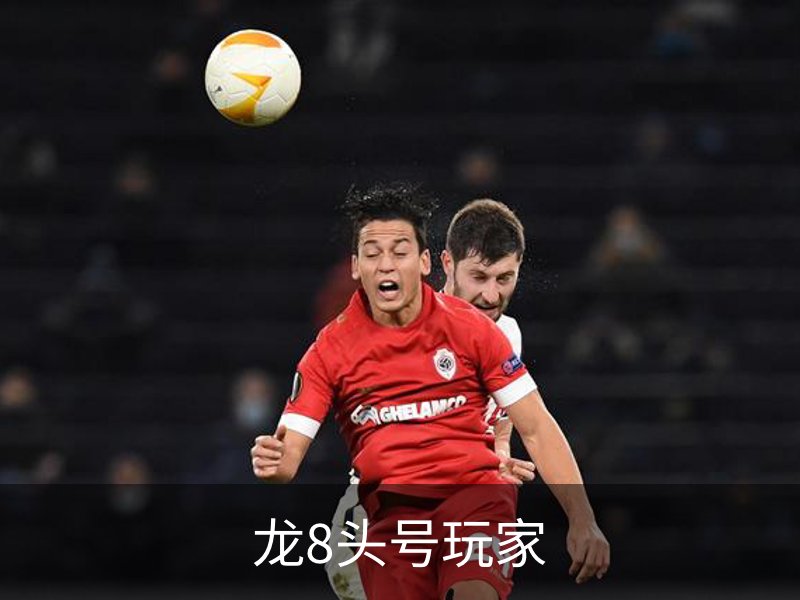 龙8头号玩家概况